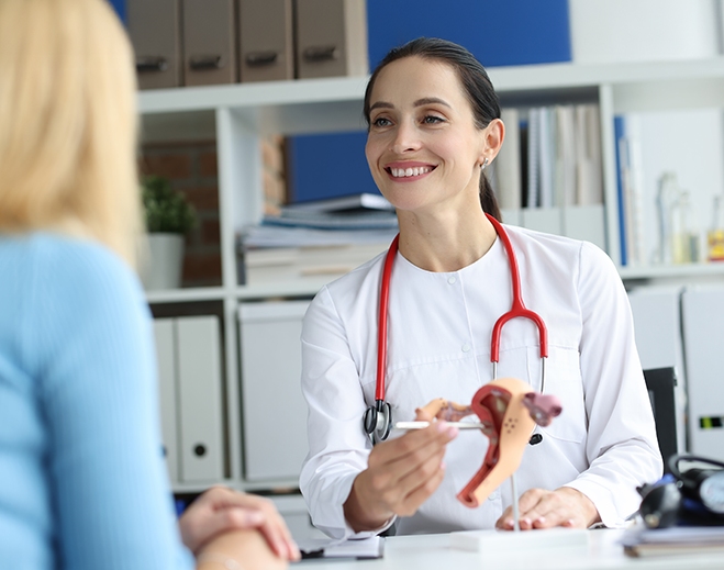 Clinician showing uterus model to patient