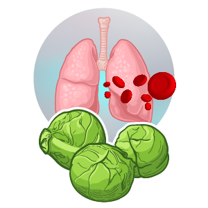 Green vegetables supporting lung health illustration