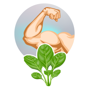Leafy greens supporting muscle strength illustration
