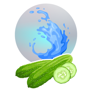 Fresh cucumbers promoting hydration and wellness