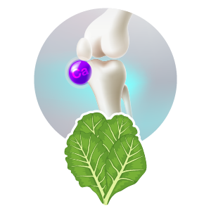 Leafy greens supporting bone and joint health