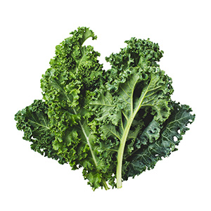 kale Fresh green kale leaves