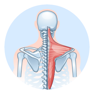 tenet-all-neck-pain-ways-to-relief-07