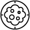 Colorectal Cancer