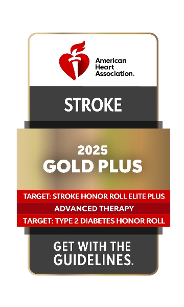 gwtg_ts-elite-plus-adt-tt2d-plus_2025_gold_4ce779d07cb5fb45b0bb54c66ff99cb679 American Heart Association stroke award