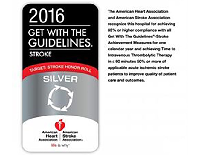 American Heart Association stroke award badge