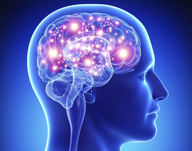 Human brain with neural activity illustration