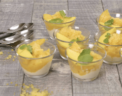 peach mango 659x519-min peach mango 659x519-min