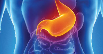 Digestive Health Conditions